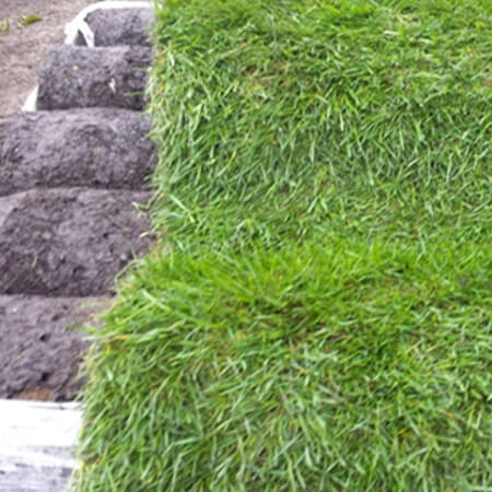 tp turf skipton